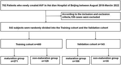 Nomogram-based prediction of the risk of AVF maturation: a retrospective study